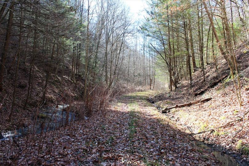 002 the road leading from the gate up the valley