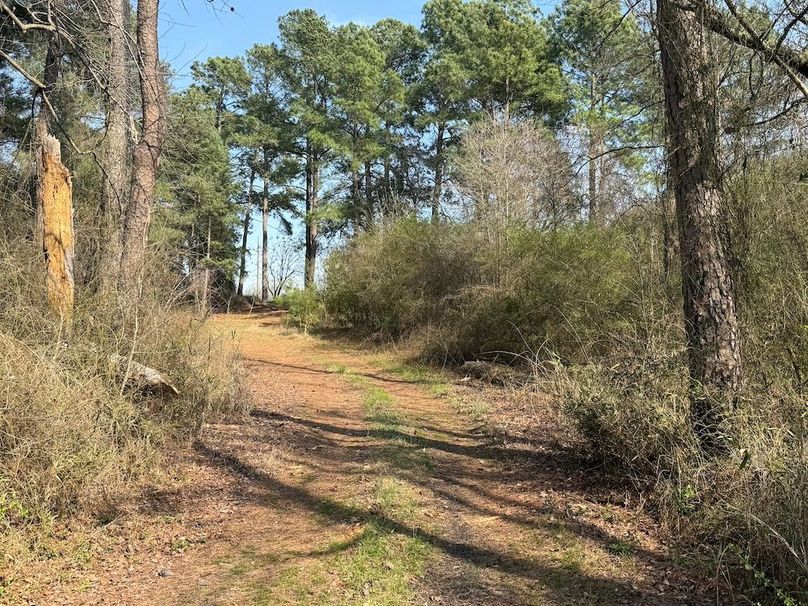 25 - road on back side of pond