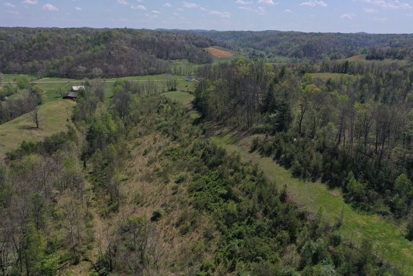 013 East facing slope reveals key habitat features thick bedding areas, transition zones, and open feeding areas
