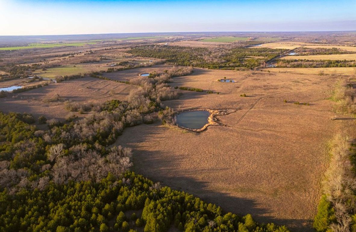 Lamar County 76.5 acres (3 of 23)