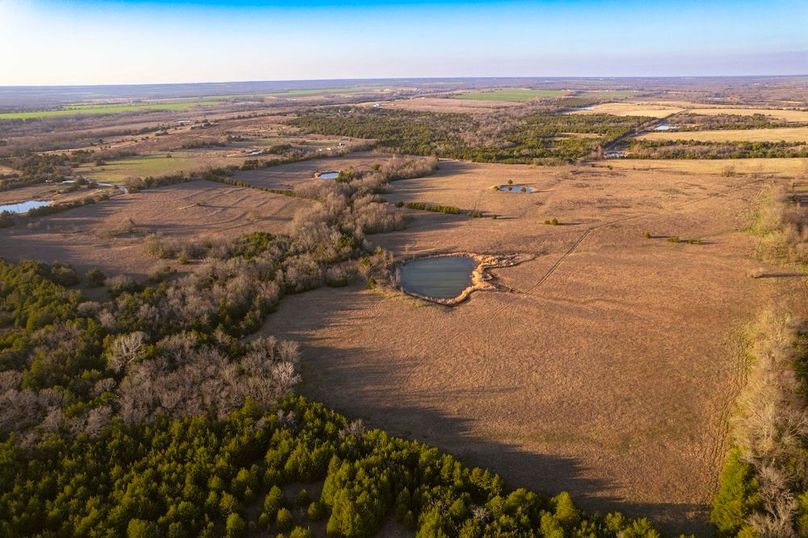 Lamar County 76.5 acres (3 of 23)