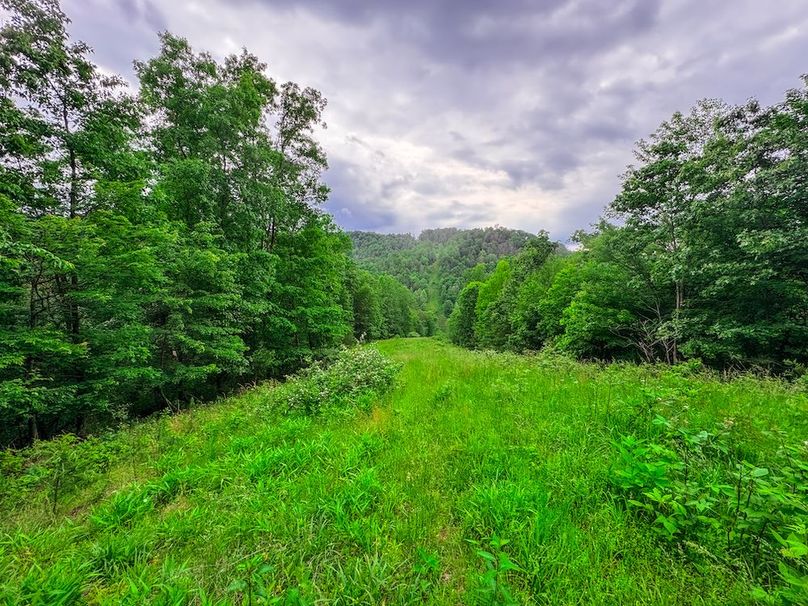 Tyler, WV 313.87 AC -27