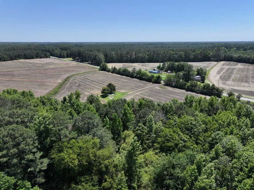 DJI_20260602142847_0069_D