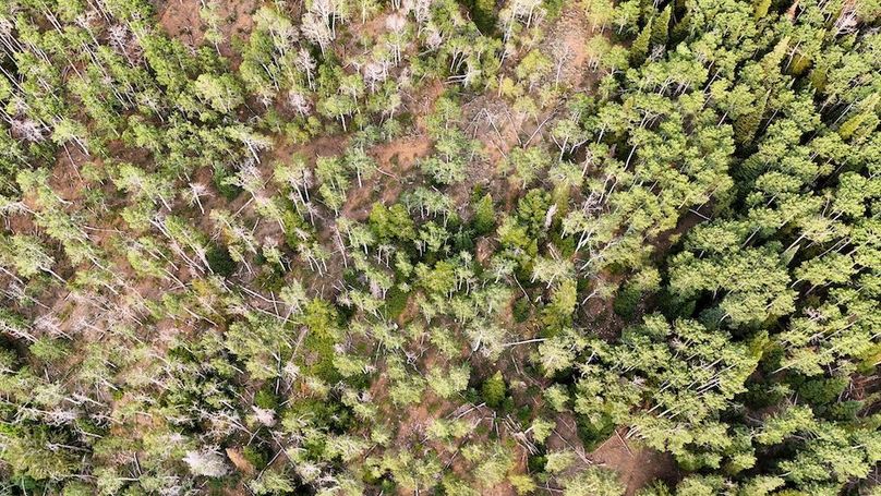 DJI_20250726183801_0213_D