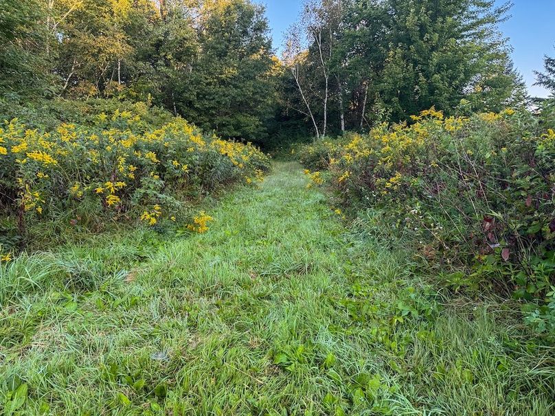 Pantzke Ground Photos-01