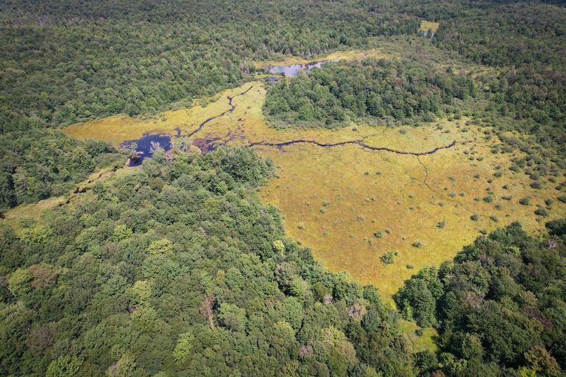 Oswego_100_Roof_Photos_24