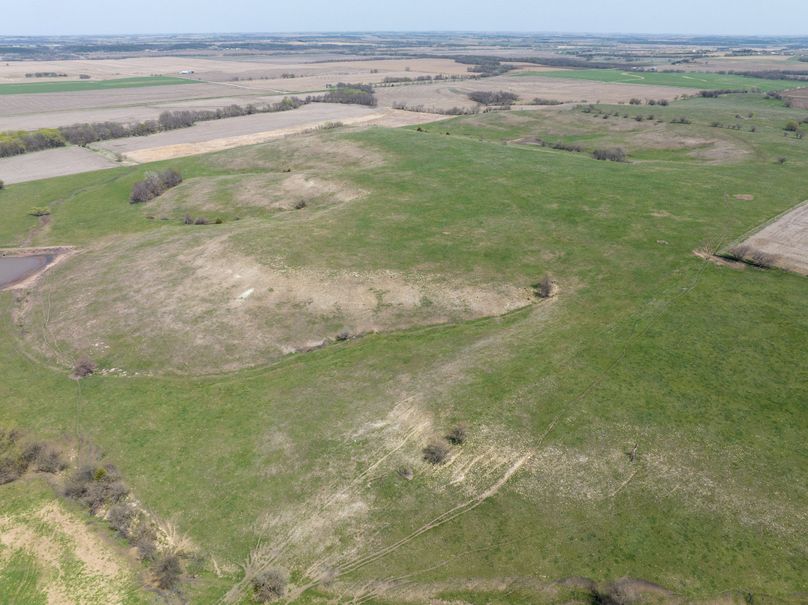 20230418-DJI_0793
