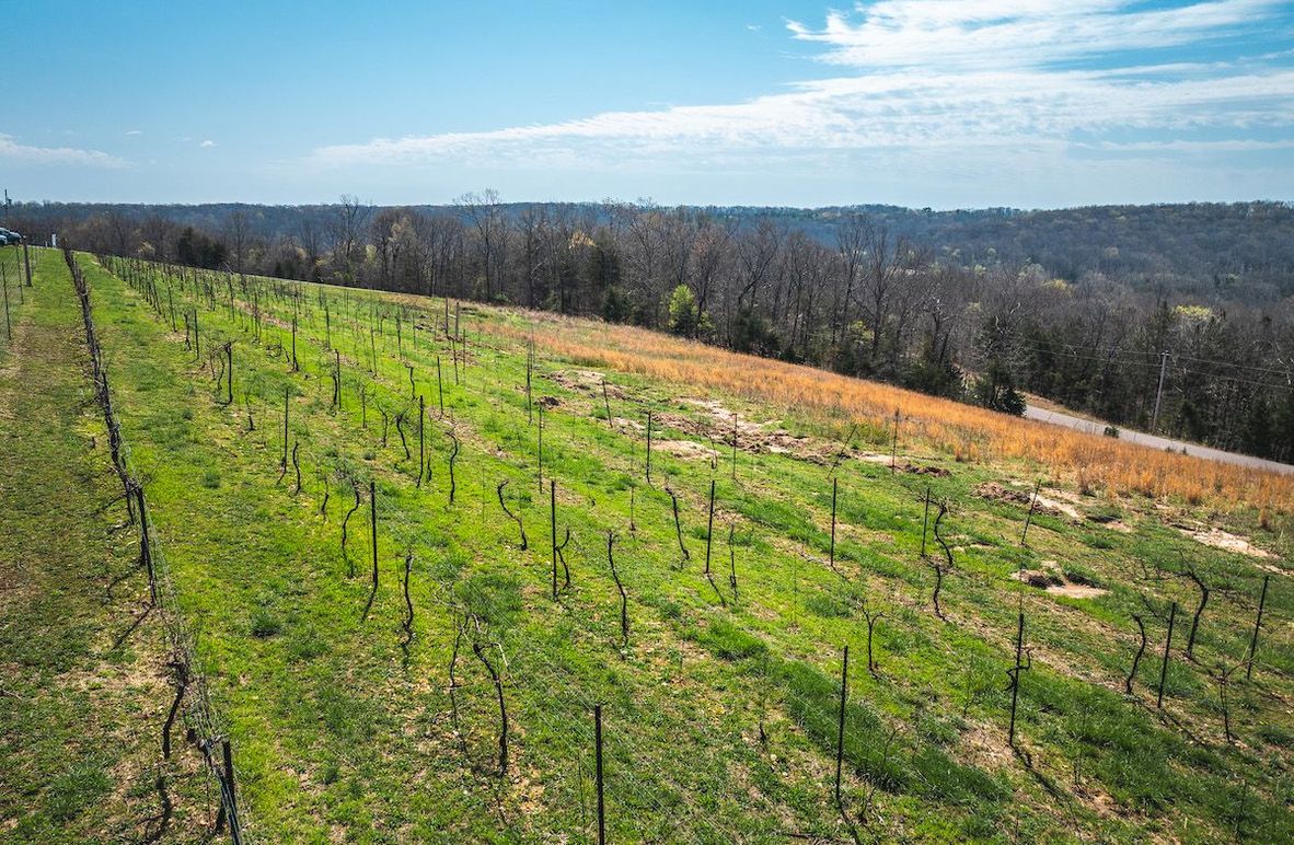 DJI_20250410112720_0034_D