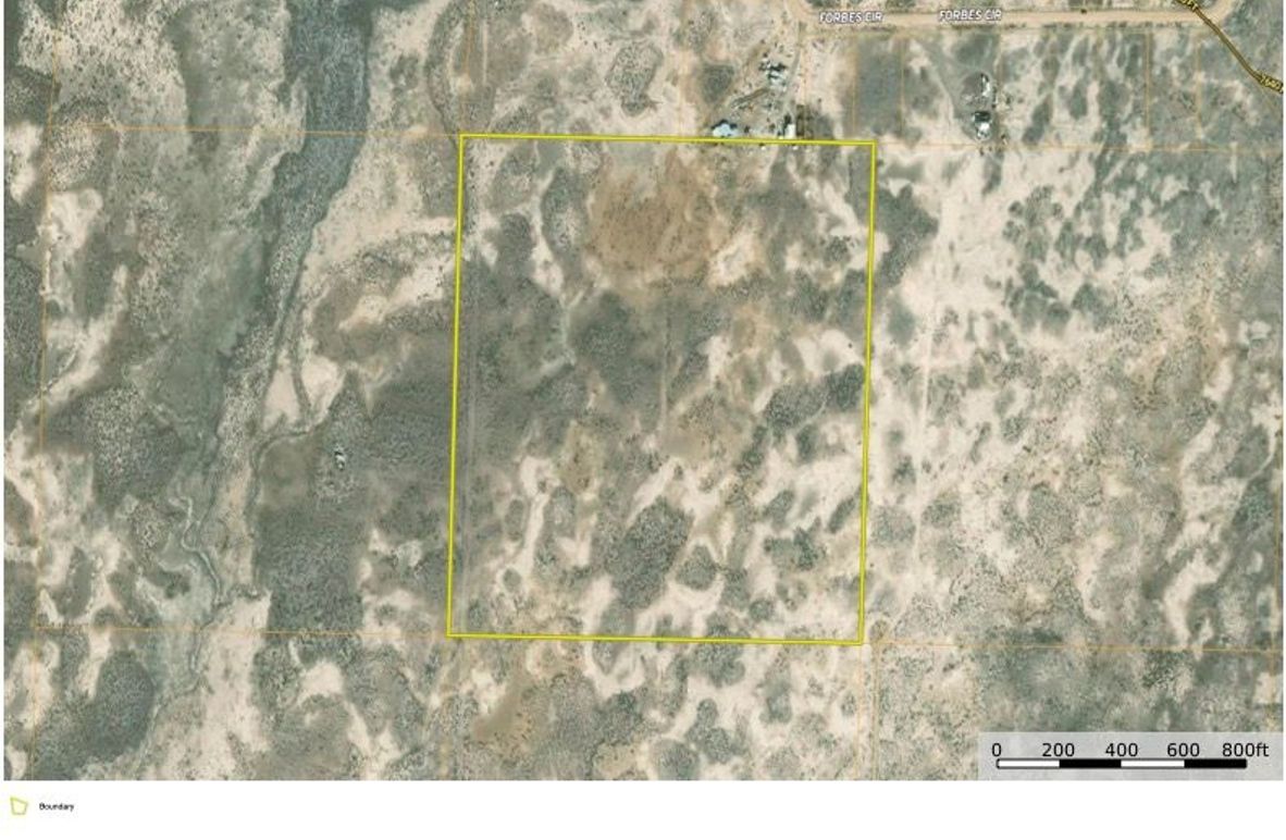 Saguache Co 40 ac - Greenblatt Map closeup copy
