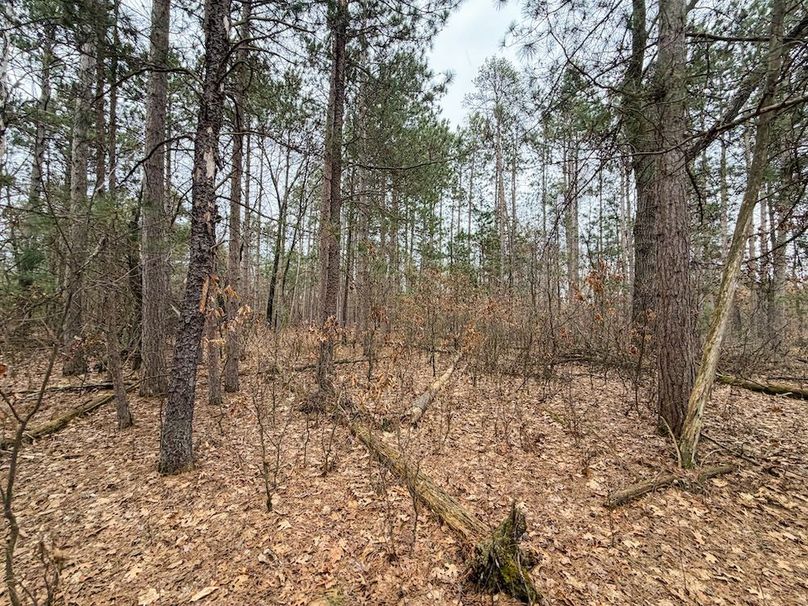 Juneau 1.53 Northgate-12