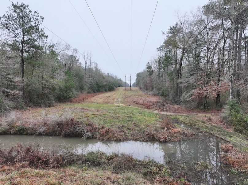 dji_fly_20260122_102312_0861_1769444809431_photo