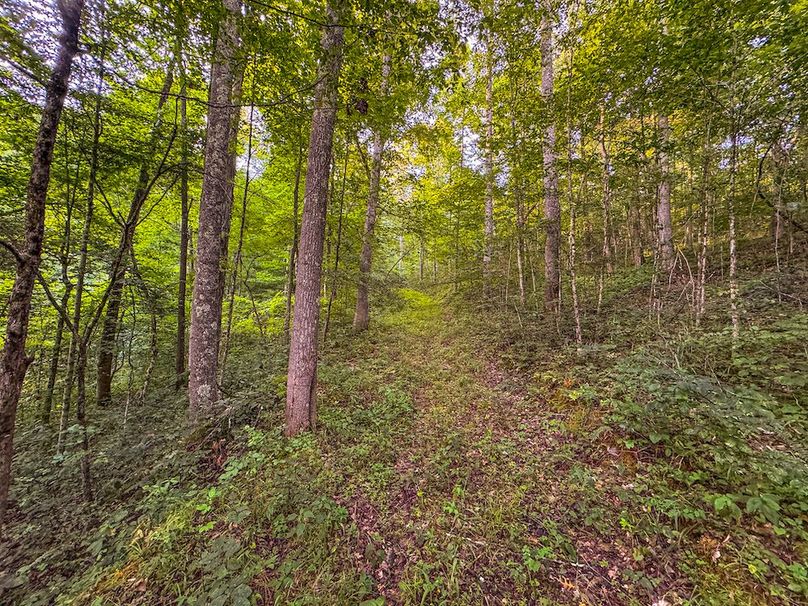 Ritchie, WV 127 AC Robinson-83