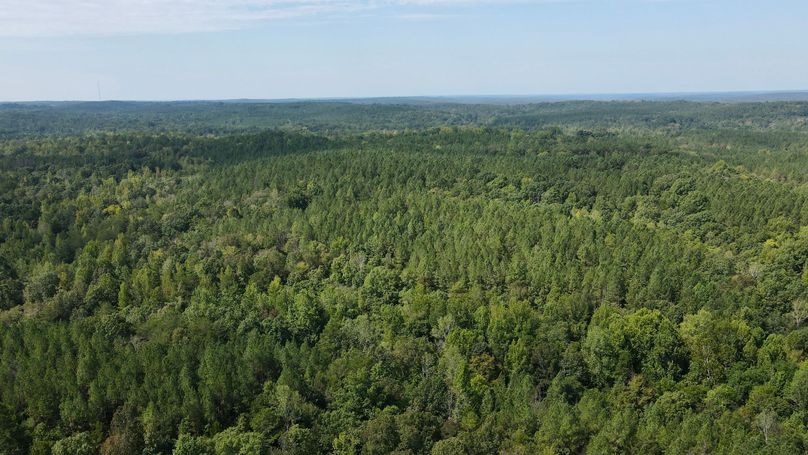 dji_fly_20230906_114414_372_1694015065762_photo