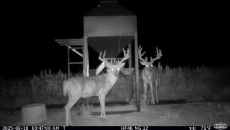 1e46d5773d9abd217f7e081648cc198d-small