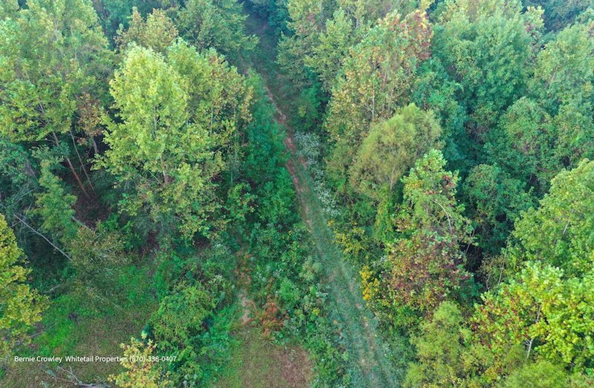 DeSoto 329 Prewett (Thompson) -05