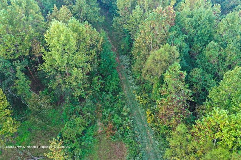 DeSoto 329 Prewett (Thompson) -05