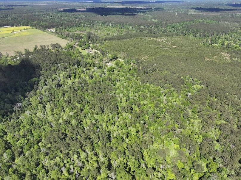 dji_fly_20260408_140828_0069_1776086821891_photo