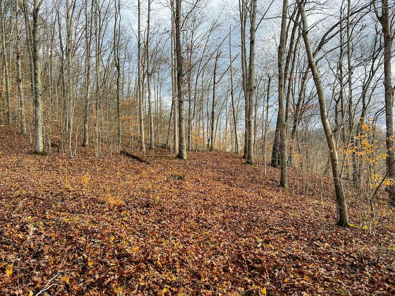 Calhoun, WV 225.69 AC Duffield-79