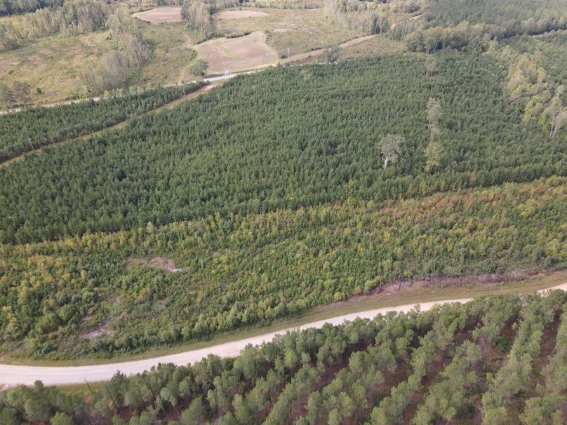 DJI_0101