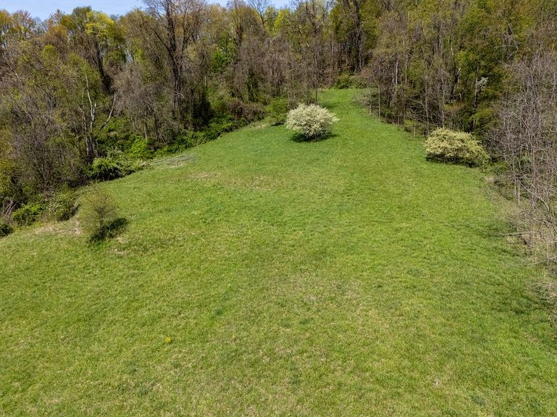 DJI_20250424100200_0227_D