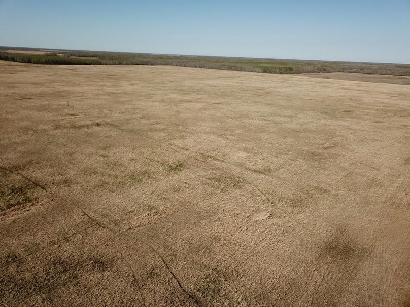 DJI_0006