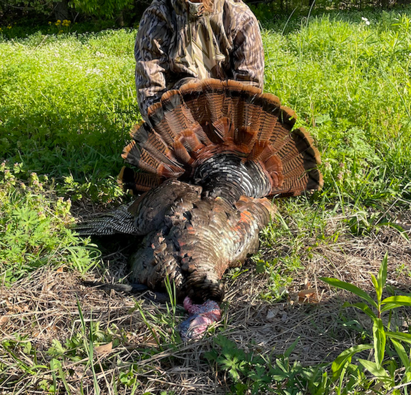 Screenshot 2026-03-02 at 9.55.28 AM