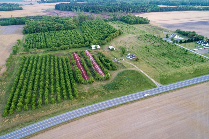 50.38ac_BethlehemRd_Caroline_AERIAL_006