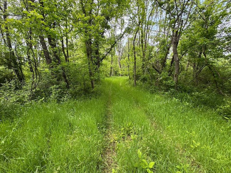 Pleasants, WV 168.59 AC Superior, Swank, Young-071