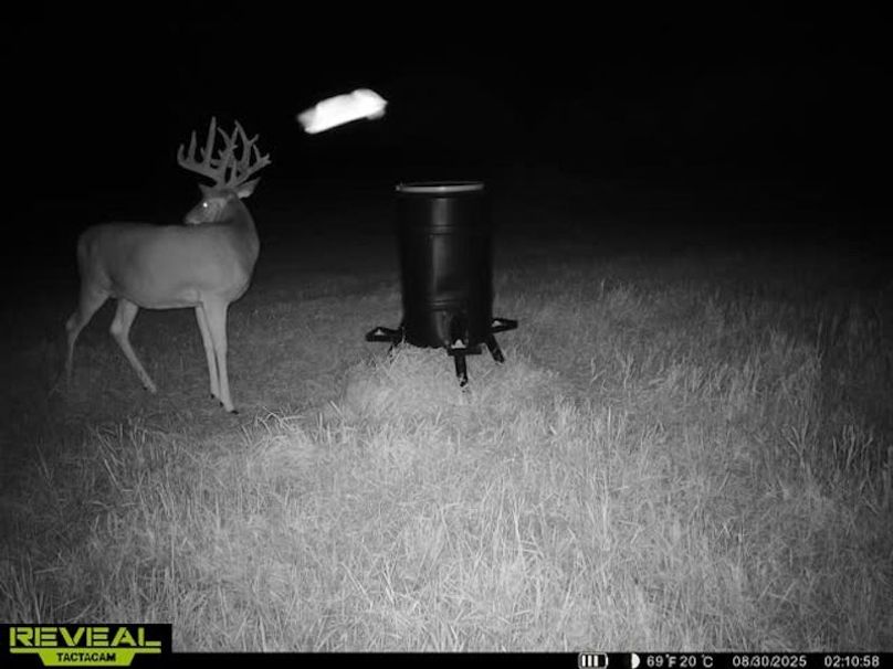 865509050128614-50-4-08302025021108-W1021609