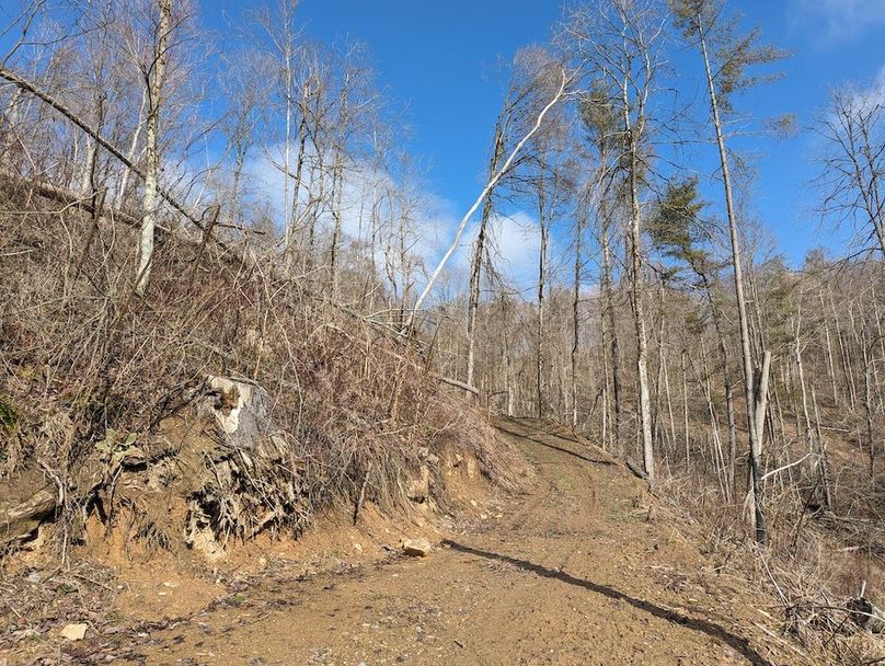 PXL_20240223_155820701