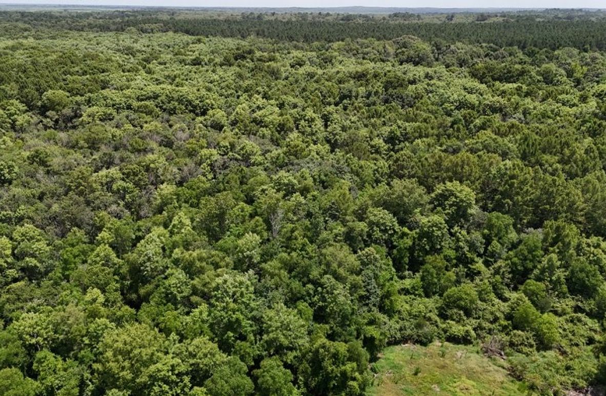 DJI_20250620032203_0642_D