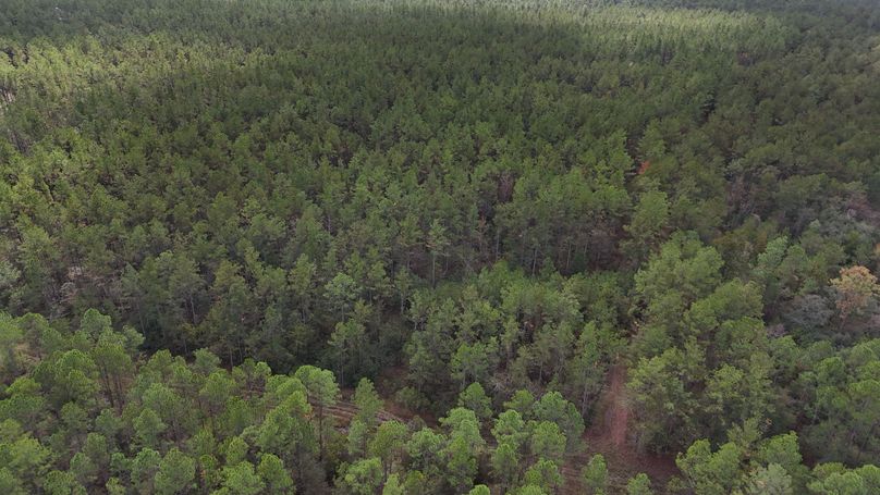 DJI_20231026123323_0031_D