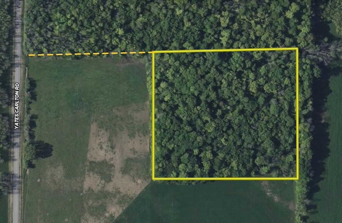 Screenshot 2025-06-02 at 9.29.06 AM