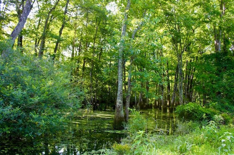 D6419C69-28D5-48D6-9BA1-5B4E6D91C26A_1_201_a