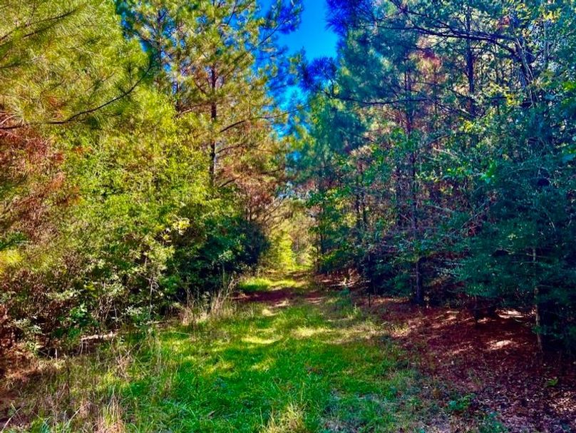 B2EB9A0F-6A7F-4DAB-A8D0-EDF485B94398_1_105_c