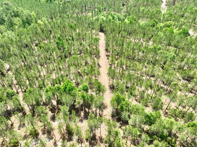 dji_fly_20260429_134128_644_1777484631019_photo