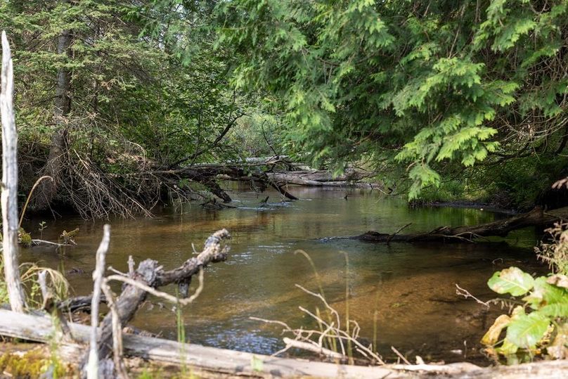 Mackinac 320 Copenhaver-63