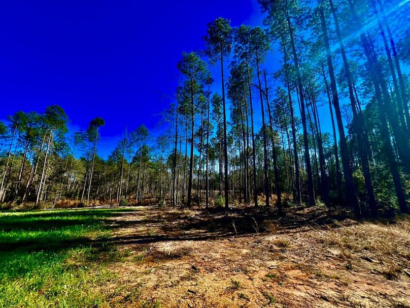 DAF6875A-E363-4BF6-87D3-10E5BE519D00_1_201_a