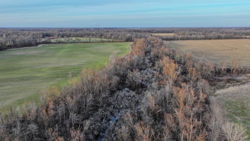 Phillips 8.5 Trahan -22