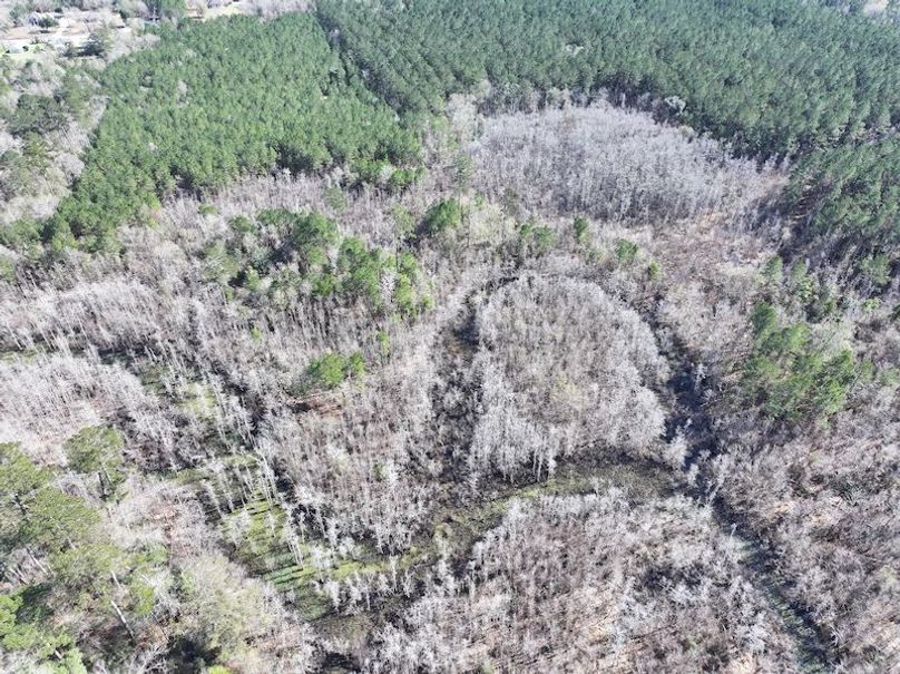 dji_fly_20260112_110236_0812_1768323791790_photo