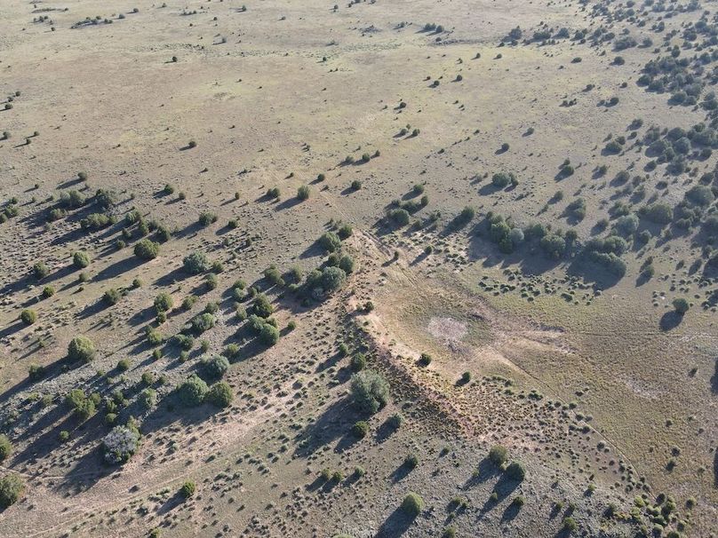 dji_fly_20240816_081058_530_1723817876383_photo