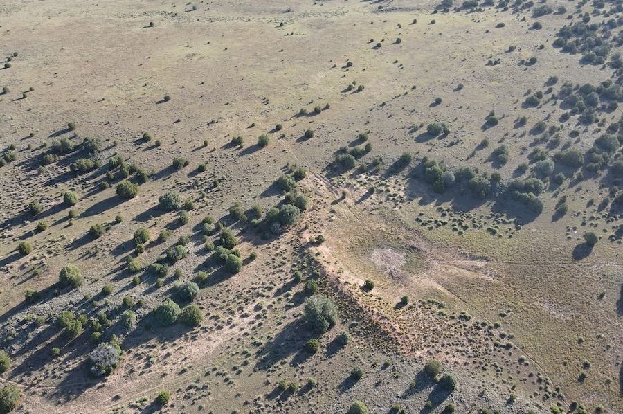 dji_fly_20240816_081058_530_1723817876383_photo