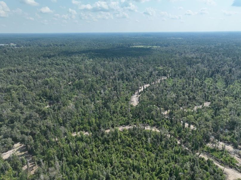 dji_fly_20240814_114614_759_1723676253673_photo