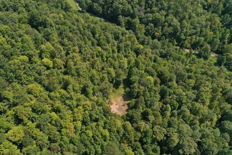 007 direct overhead aerial drone shot in the west section of the property showing the small field mid elevation