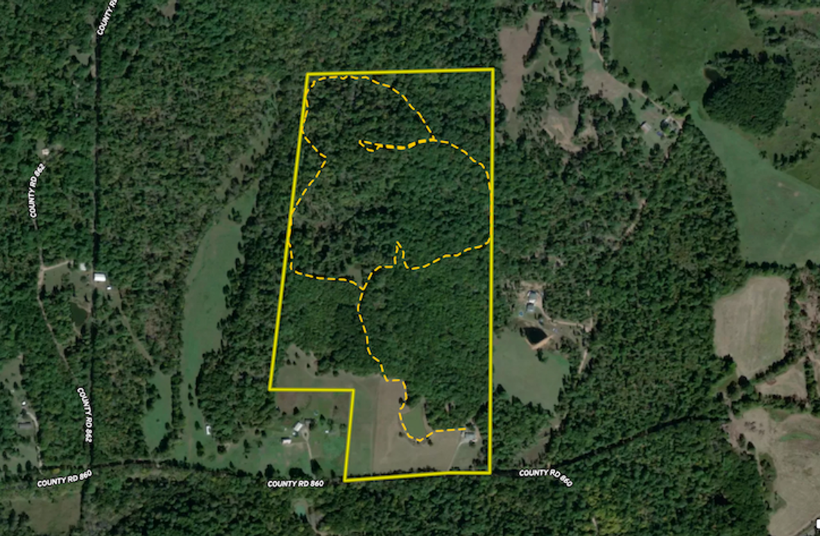 Print Hunting Land For Sale With A Pond And Hunting Cabin Whitetail