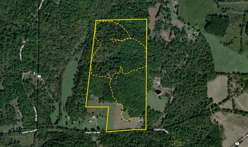 Screenshot 2024-09-26 at 9.00.37 AM