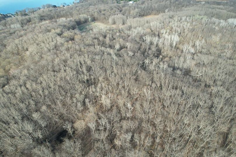 dji_fly_20260424_183428_238_1777074100583_photo