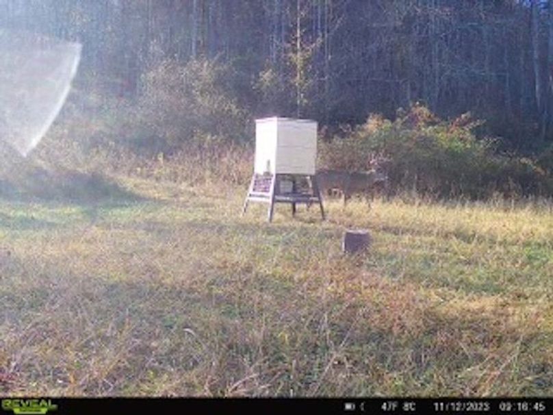 5e5513fd-be8a-4f3f-84a9-33b898e92dab