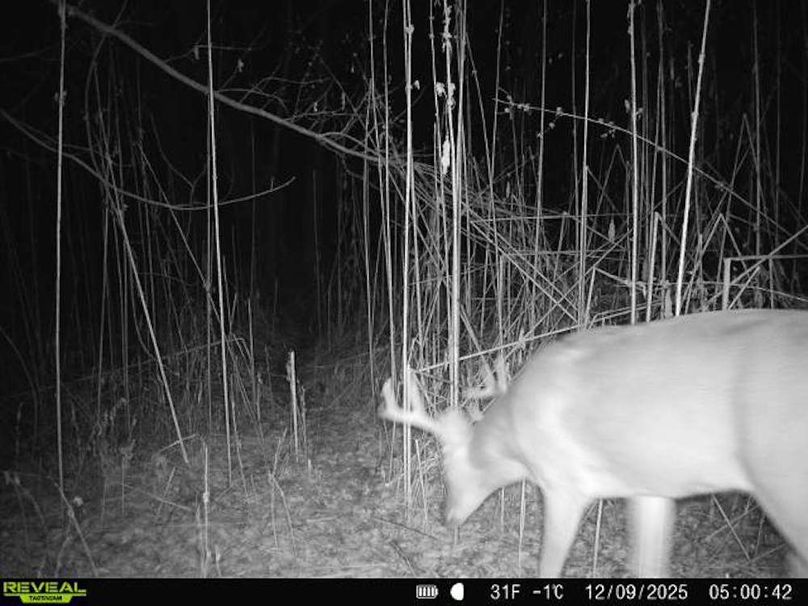 860516067590228-50-2-12092025050042-V-W1000133