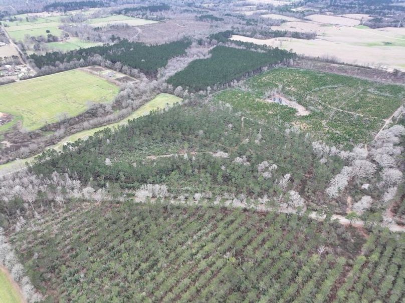 dji_fly_20260217_131952_0097_1771436914173_photo